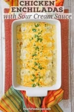 An overhead view of a white casserole filled with freshly baked chicken enchiladas with sour cream sauce.