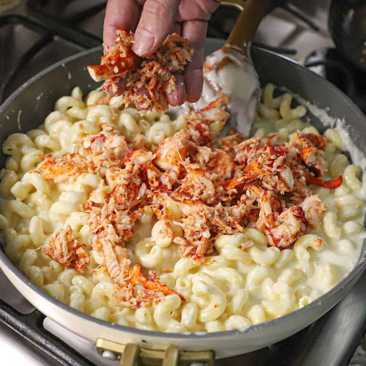 A person using his hand to drop chopped cooked lobster meat into a skillet filled with creamy mac and cheese.